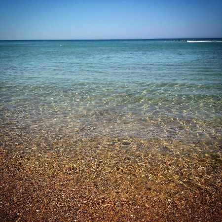 Studio Entre Lac Et Ocean A Hossegor Сорт-Осгор Экстерьер фото